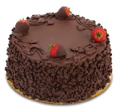 Çikolata Şöleni Özel 6-9 Kişilik Taze Pasta